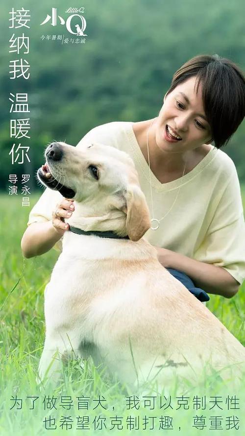 美国id号怎么充值